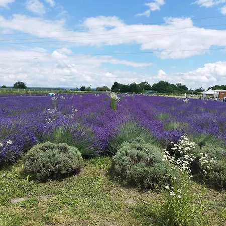 Napsugar Vendeghaz Apartment Tahitófalu