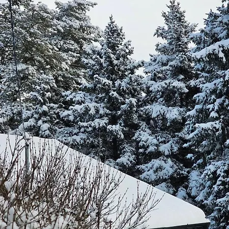 Napsugar Vendeghaz *